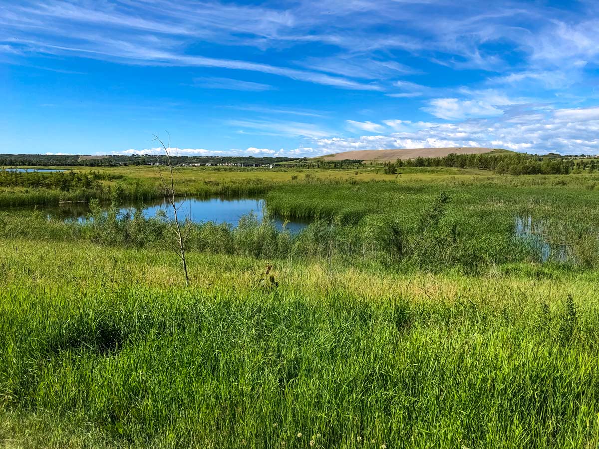 Cycling Bow River Pathway, Fish Creek 9