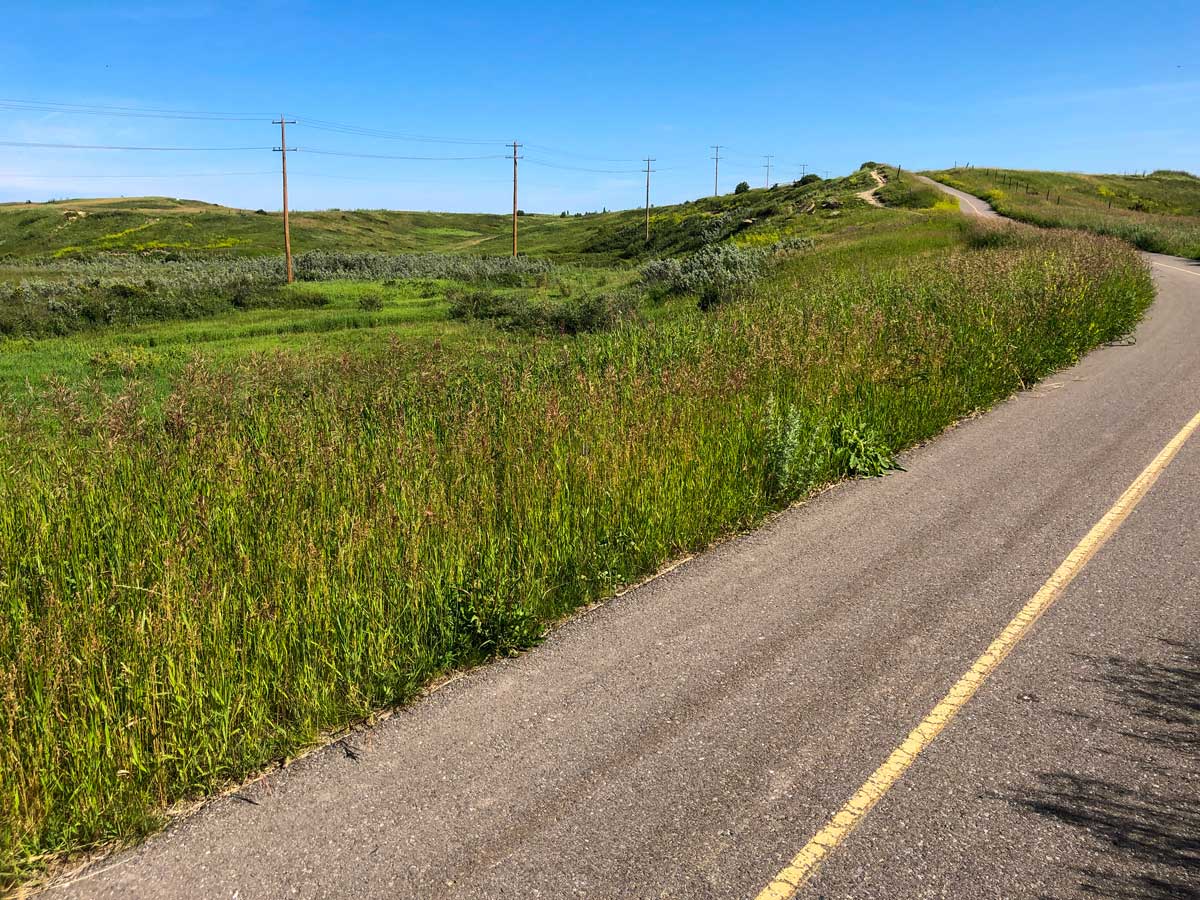 Cycling North Calgary Loop 1