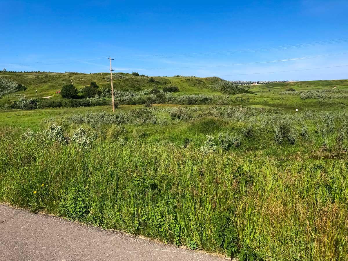 Cycling North Calgary Loop 2