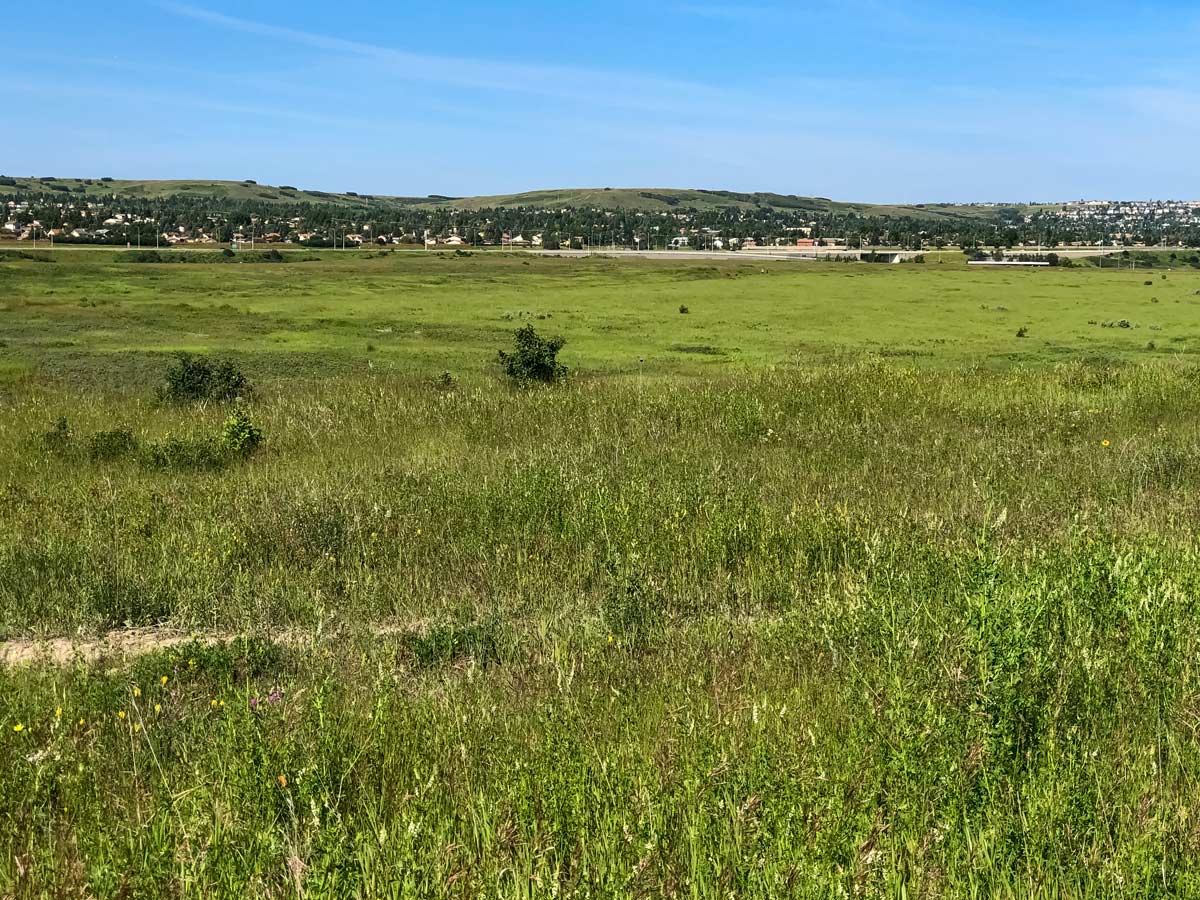 Cycling North Calgary Loop 4