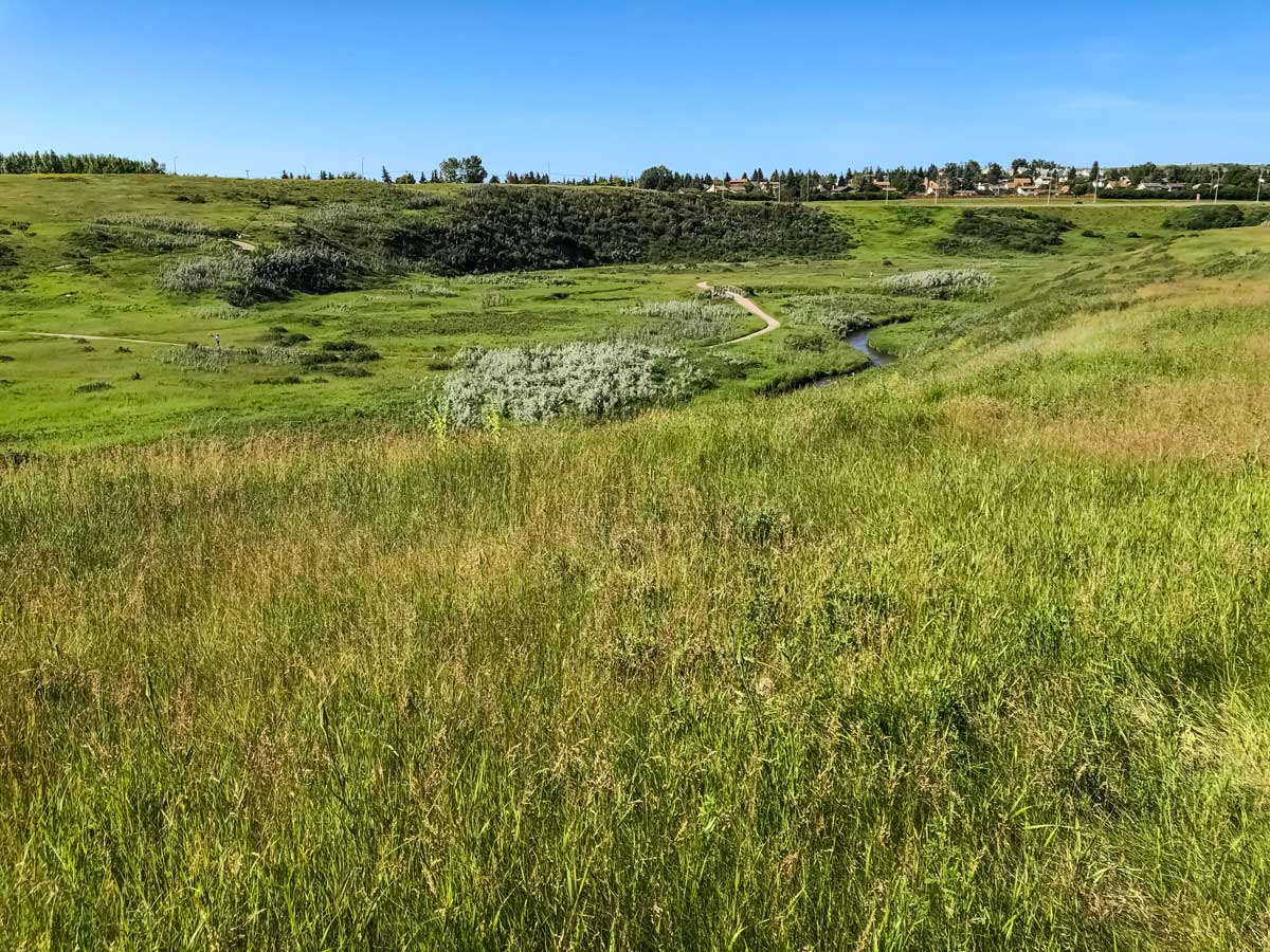 Cycling North Calgary Loop 5