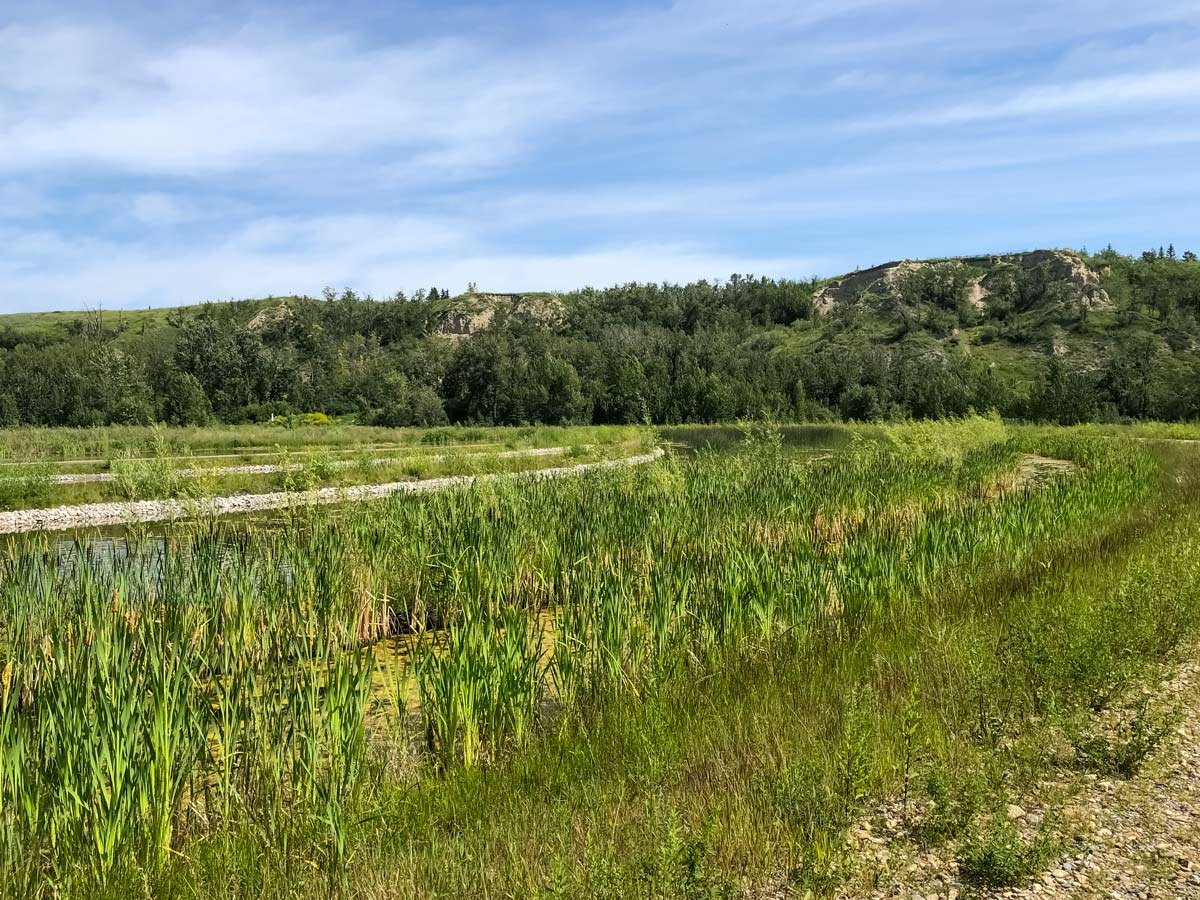 Cycling North Calgary Loop 9