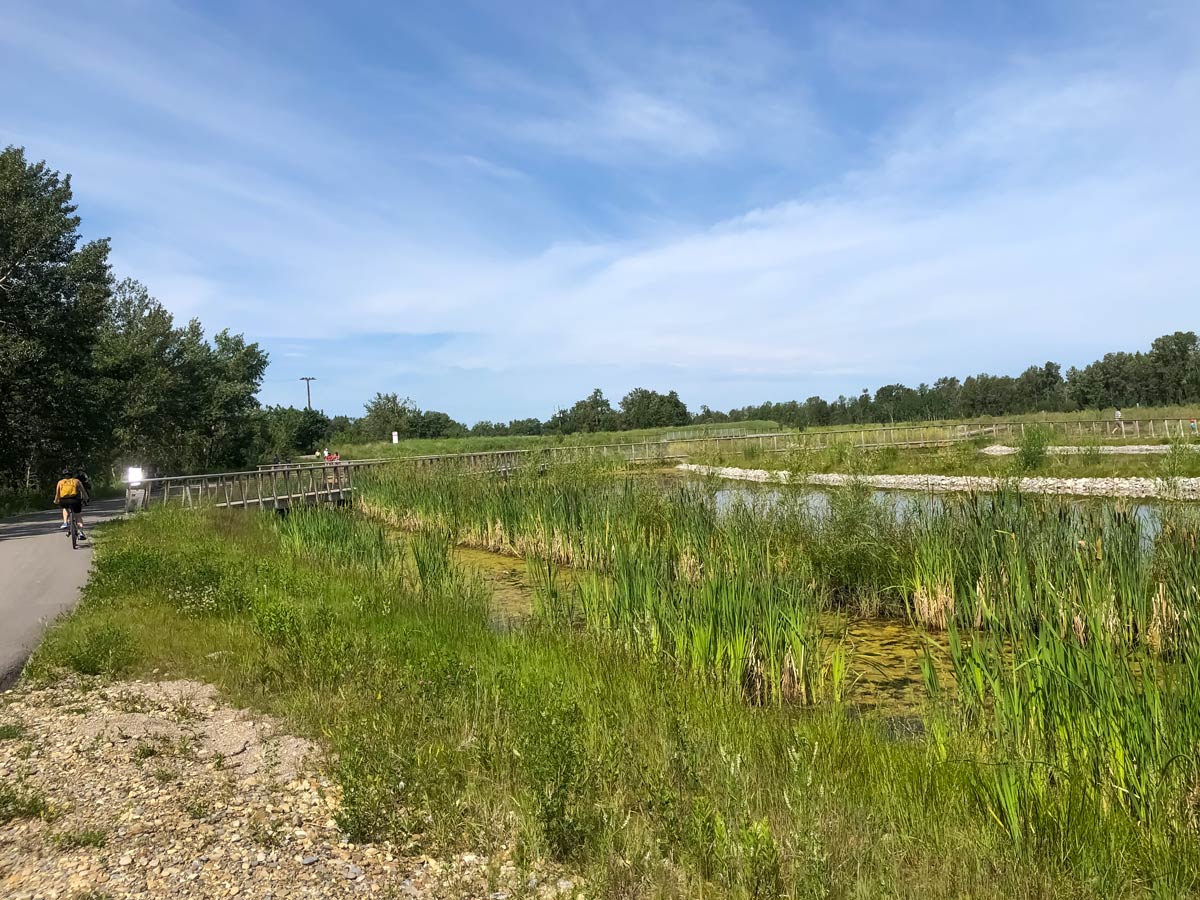 Cycling North Calgary Loop 10