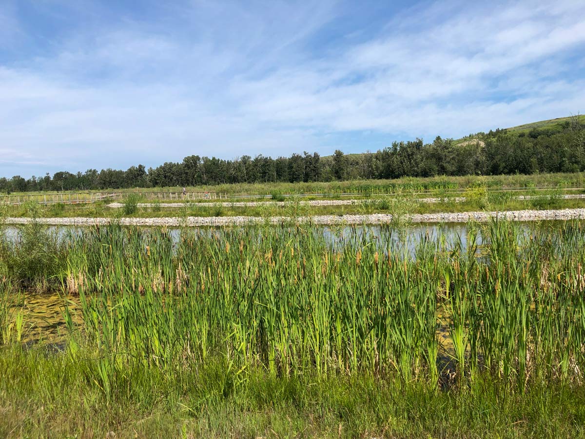 Cycling North Calgary Loop 11