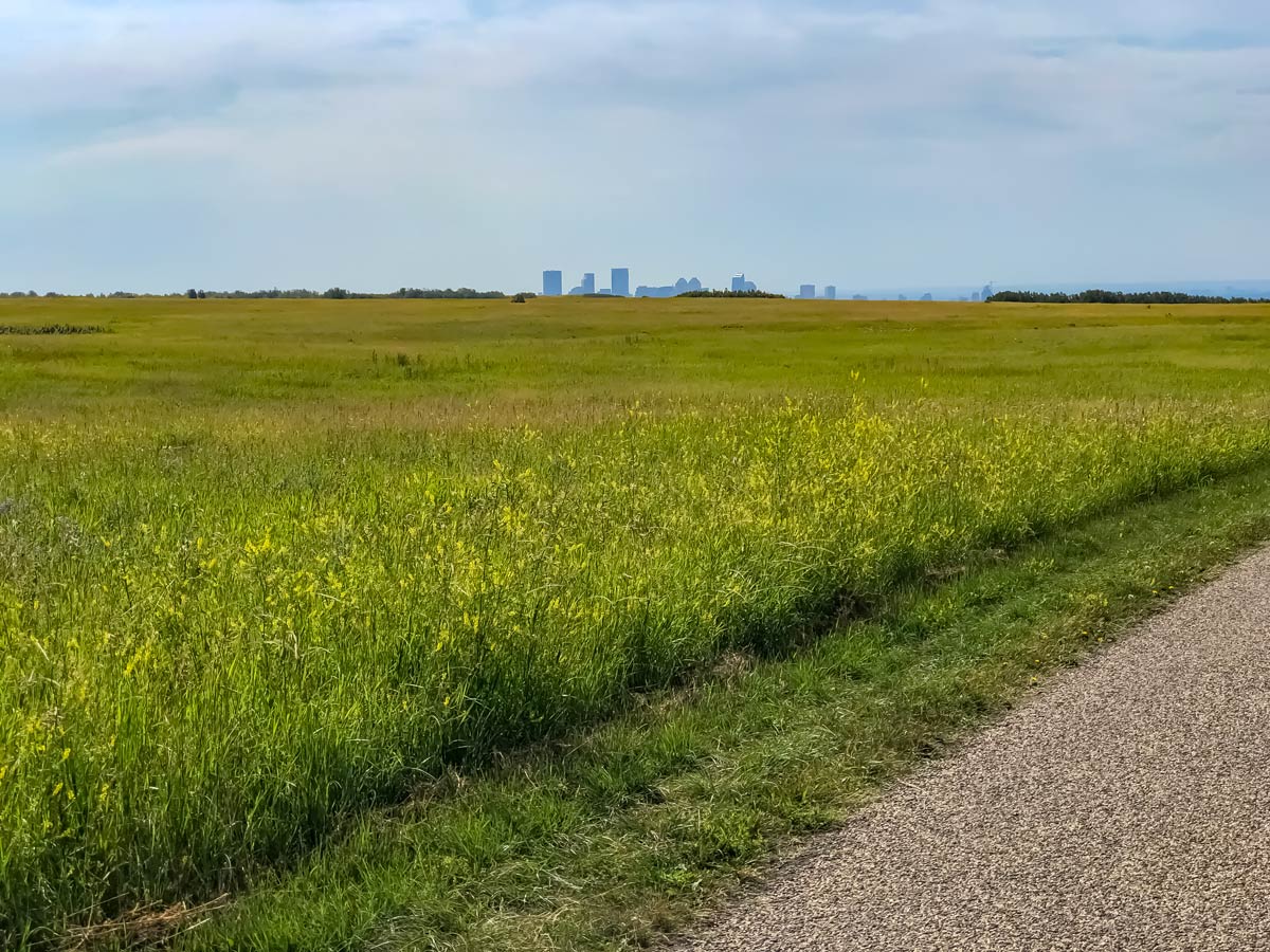 Cycling Nose Hill and Downtown 5