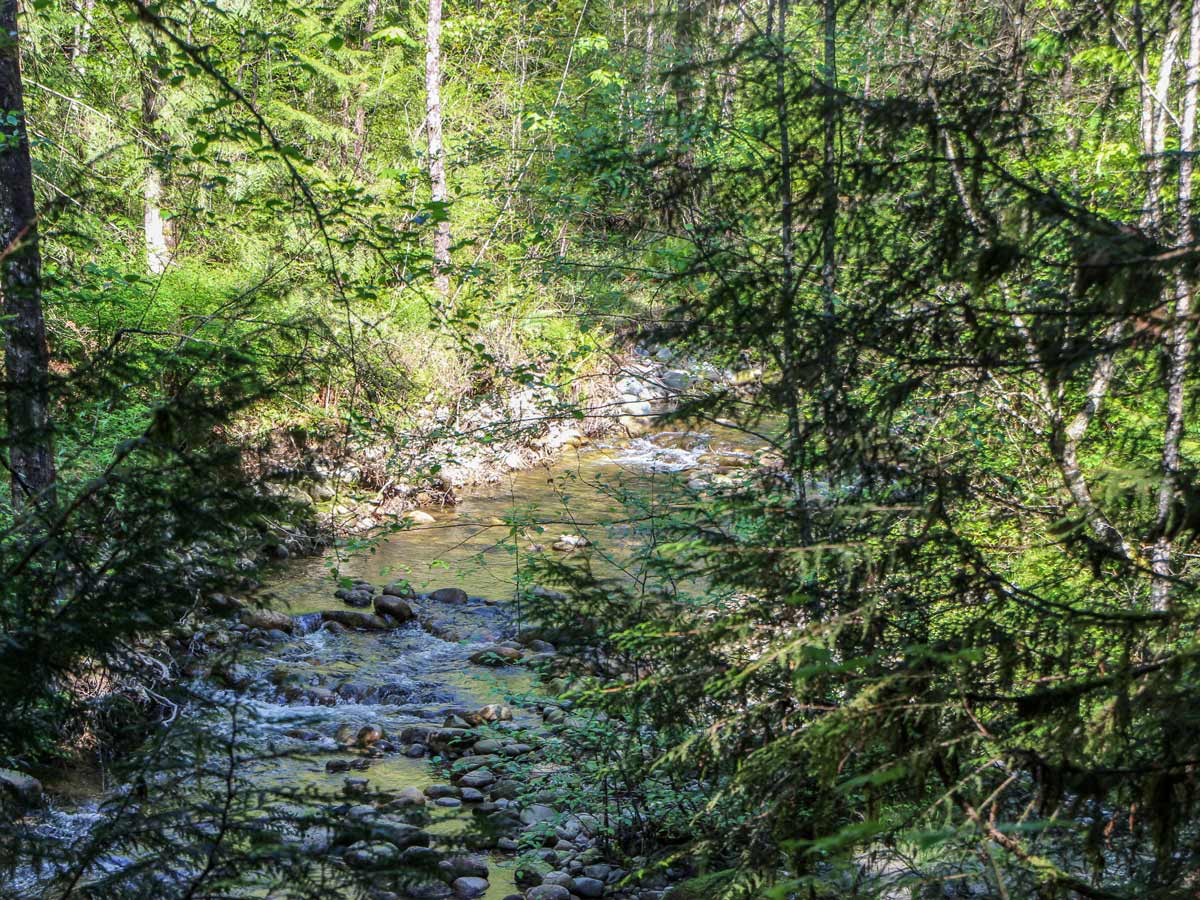 Coquitlam River near Crystal Falls East of Vancouver