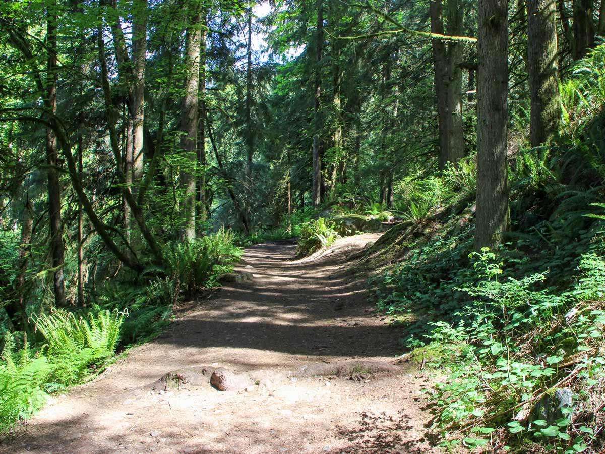 Beutiful dirt path hiking trail to Crystal Falls near Vancouver