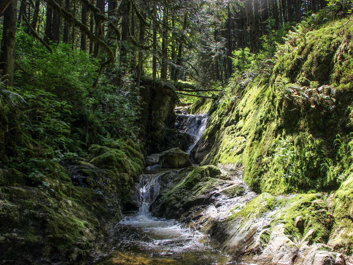 Natural creek and waterfalls at Crystal Falls near Vancouver in British Columbia