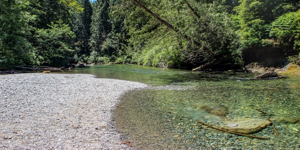 Gold Creek Falls