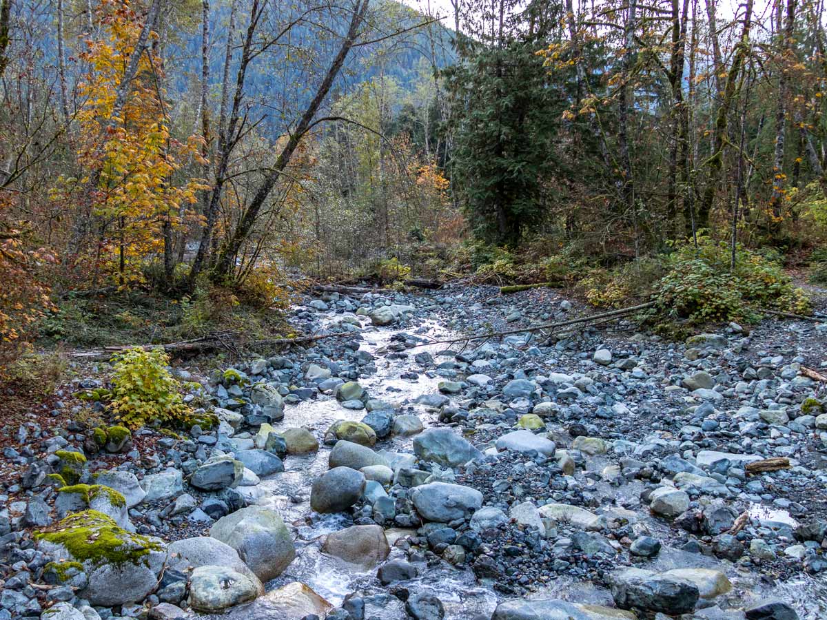 A creek along the West Canyon Trail in Golden Ears near Vancouver