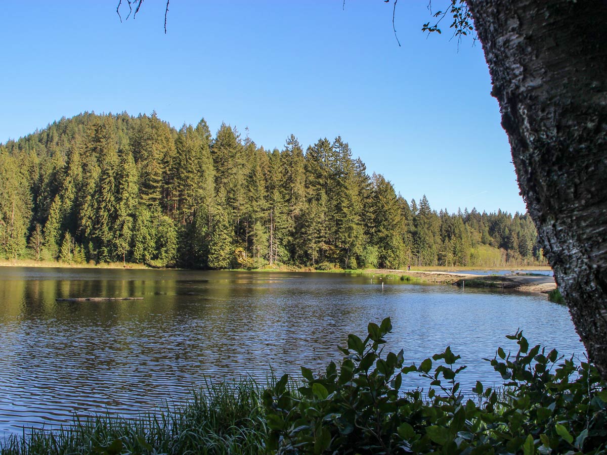 Hiking by the river on High Knoll traill east of Vancouver