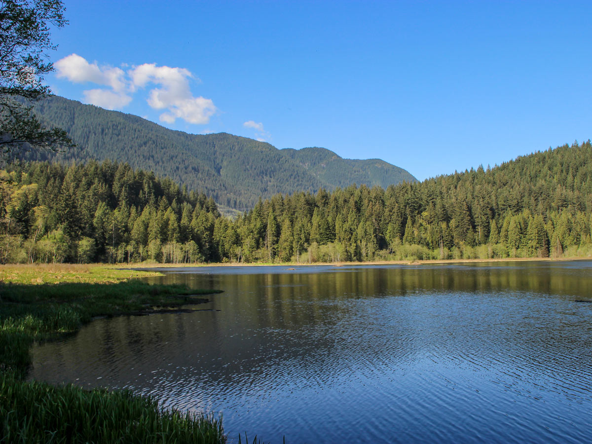 The Minnekhada Marsh along High Knoll trail near Vancouver British Columbia