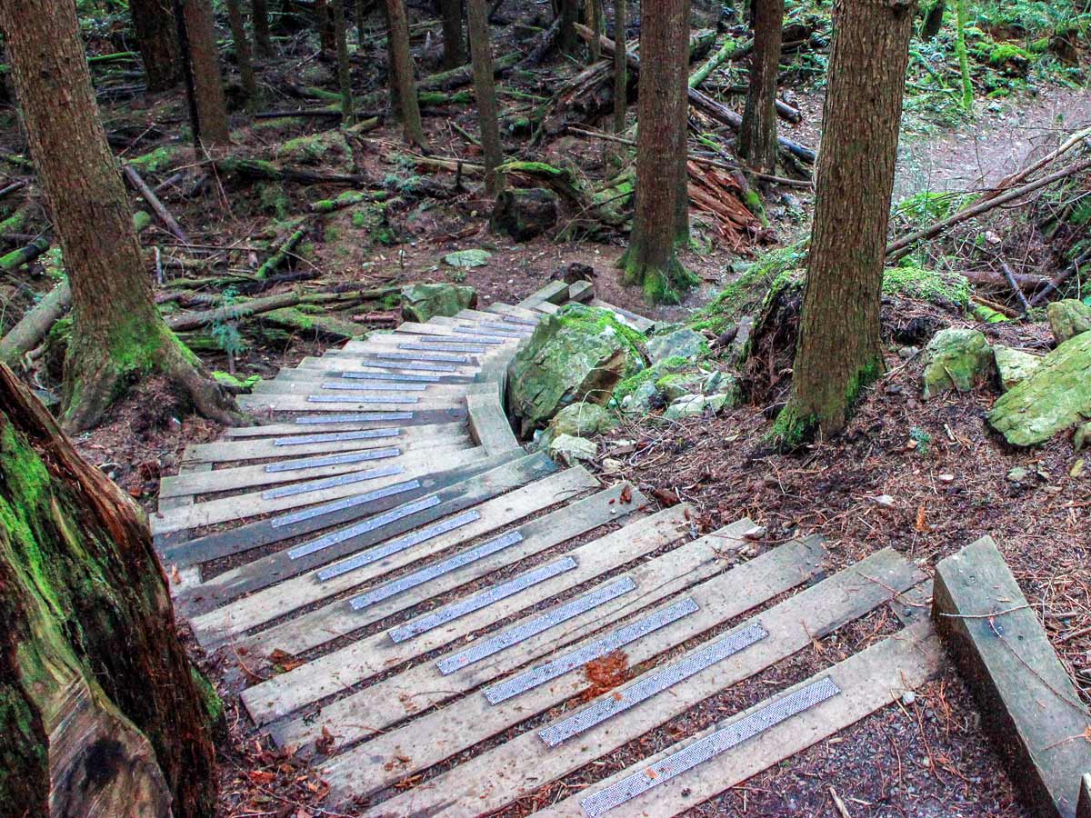 Staires in the forest along Jug Island hiking trail near Vancouver