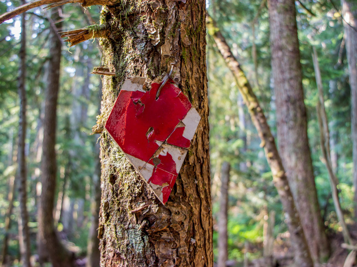 Old signpost along hiking trail to Munro Lake near Vancouver