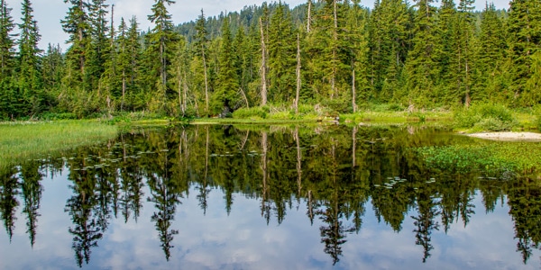 Munro Lake & Dennett Lake