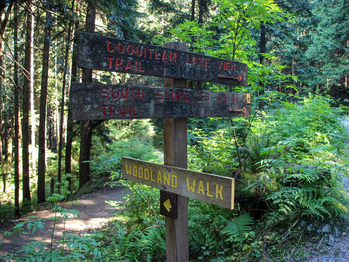 Junction early in the trail to Sawblade Falls east of Vancouver