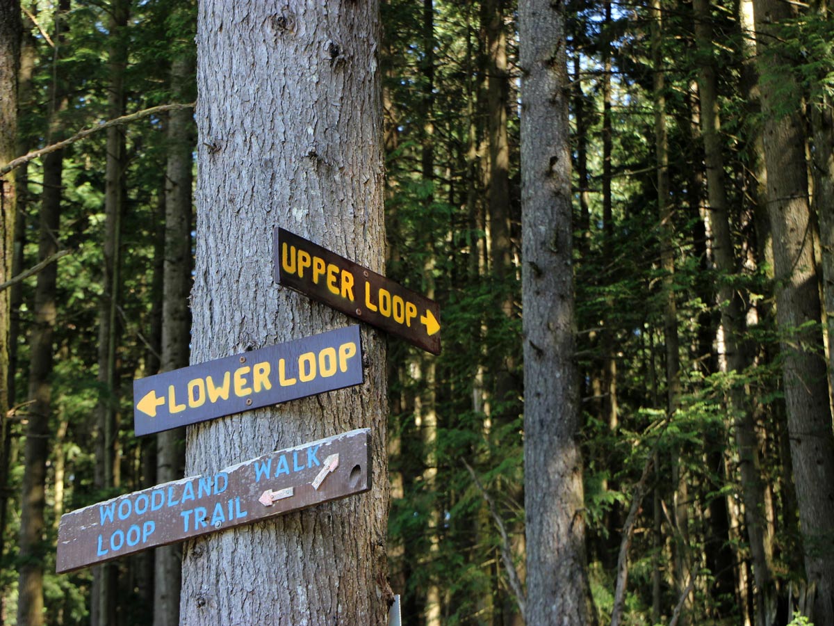 Upper and Lower Loop Trails signposts along trail to Sawblade Falls near Vancouver BC