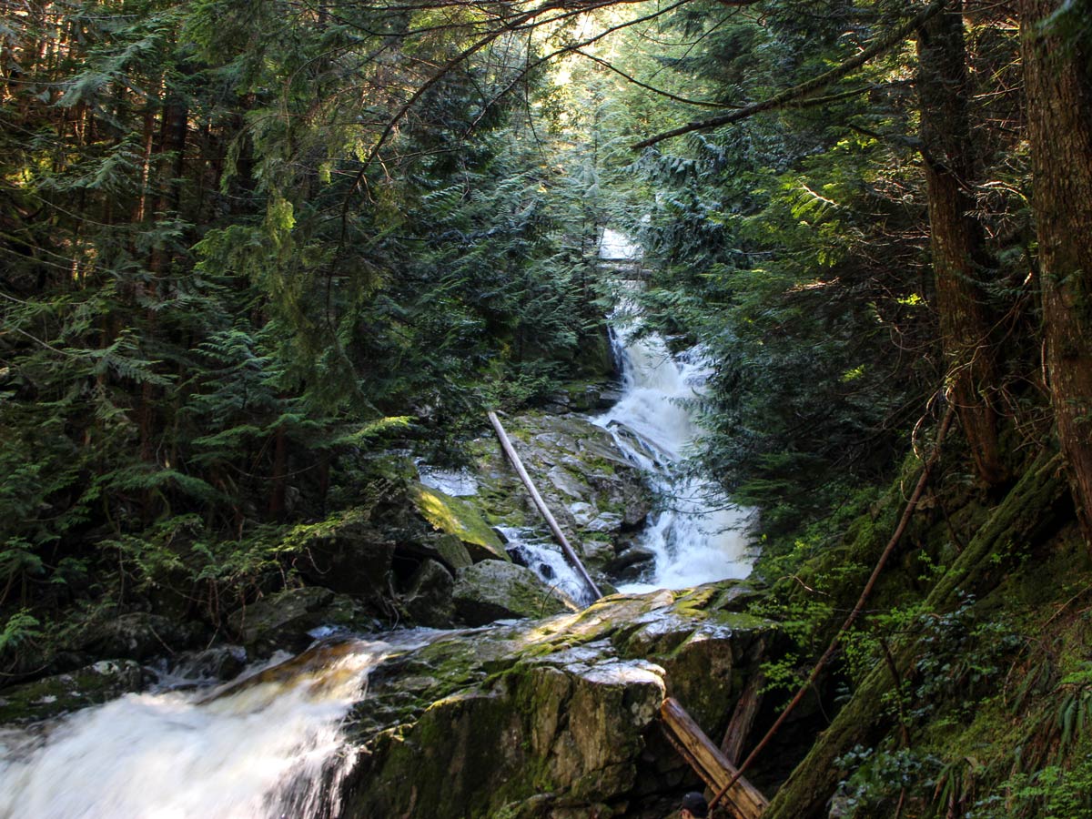 Woodland Falls waterfalls along Sawblade Falls hiking trail east of vancouver