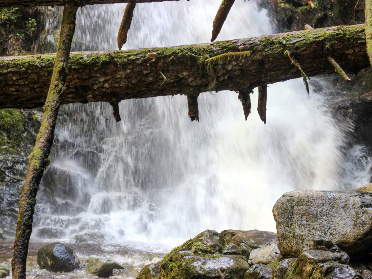 Natural fallen logs at the bottom of Sawblade Falls near Vancouver