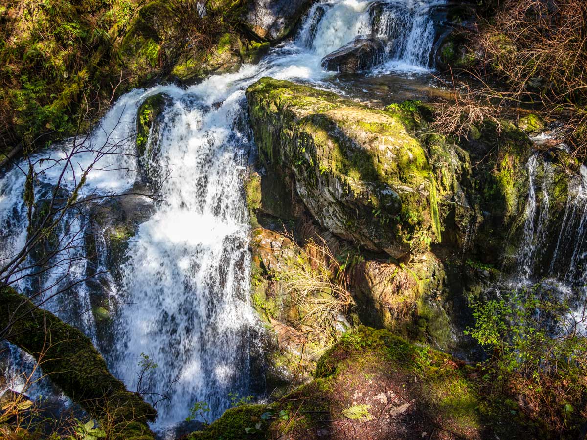 Steelhead falls waterfalls in the forest east of Vancouver