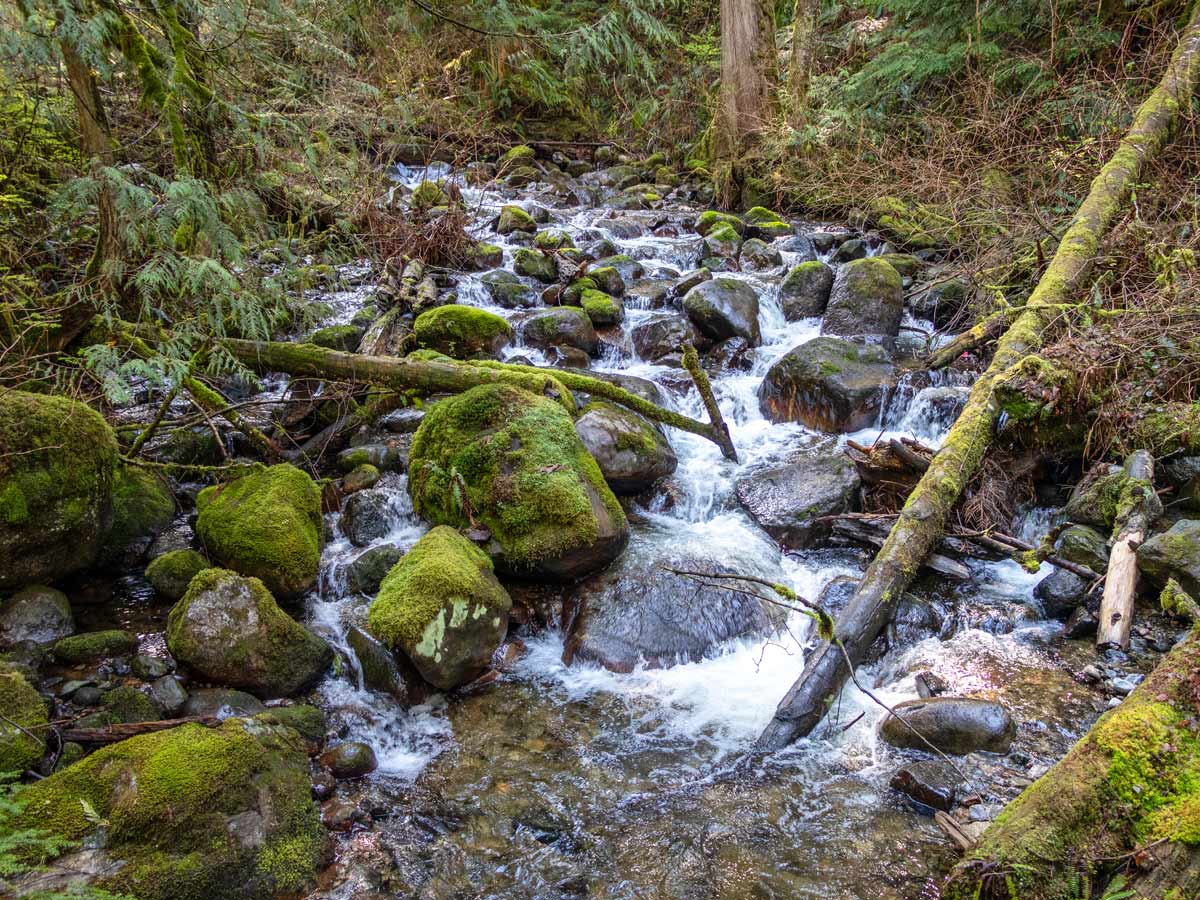 Steelhead creek along hiking trail to Steelhead Falls east of Vancouver