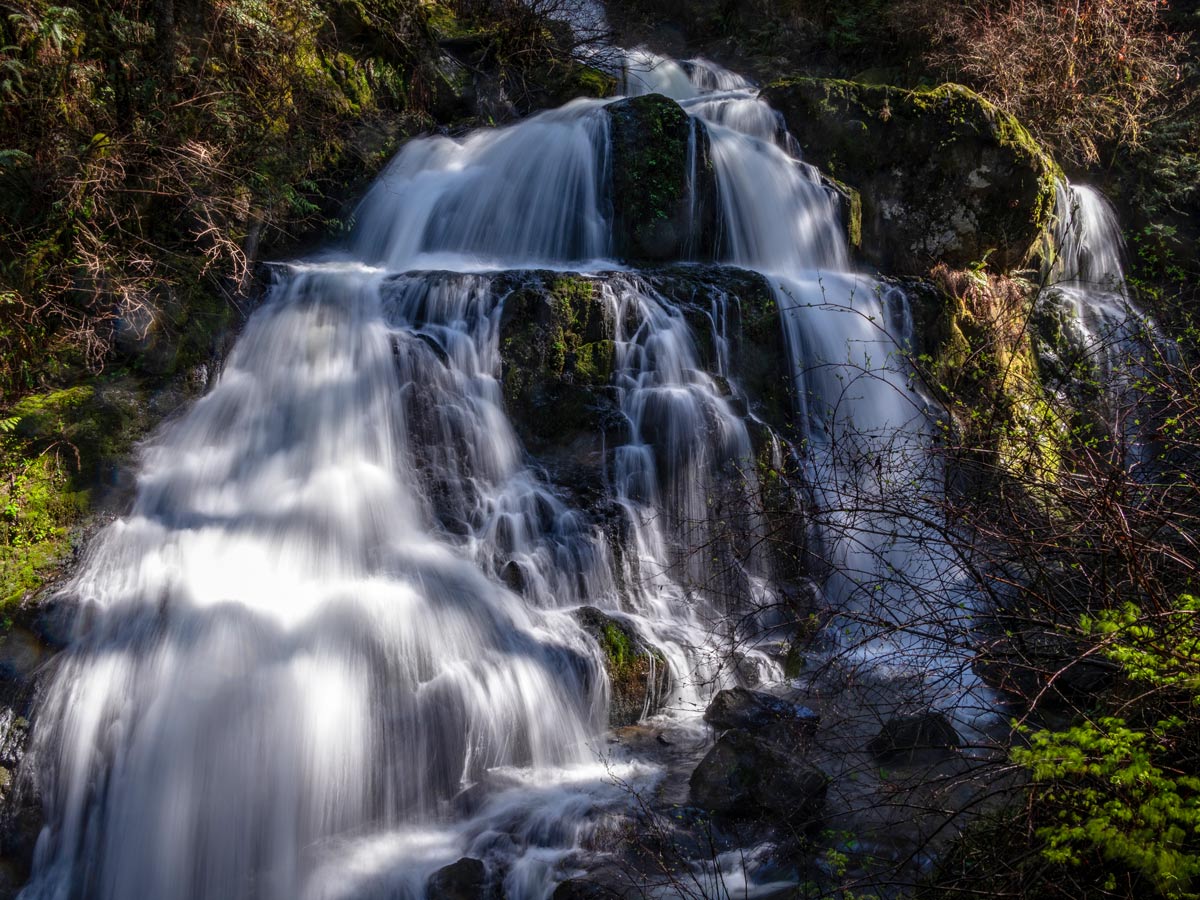 British Columbia forest waterfalls along Steelhead Falls Hiking trail near Vancouver