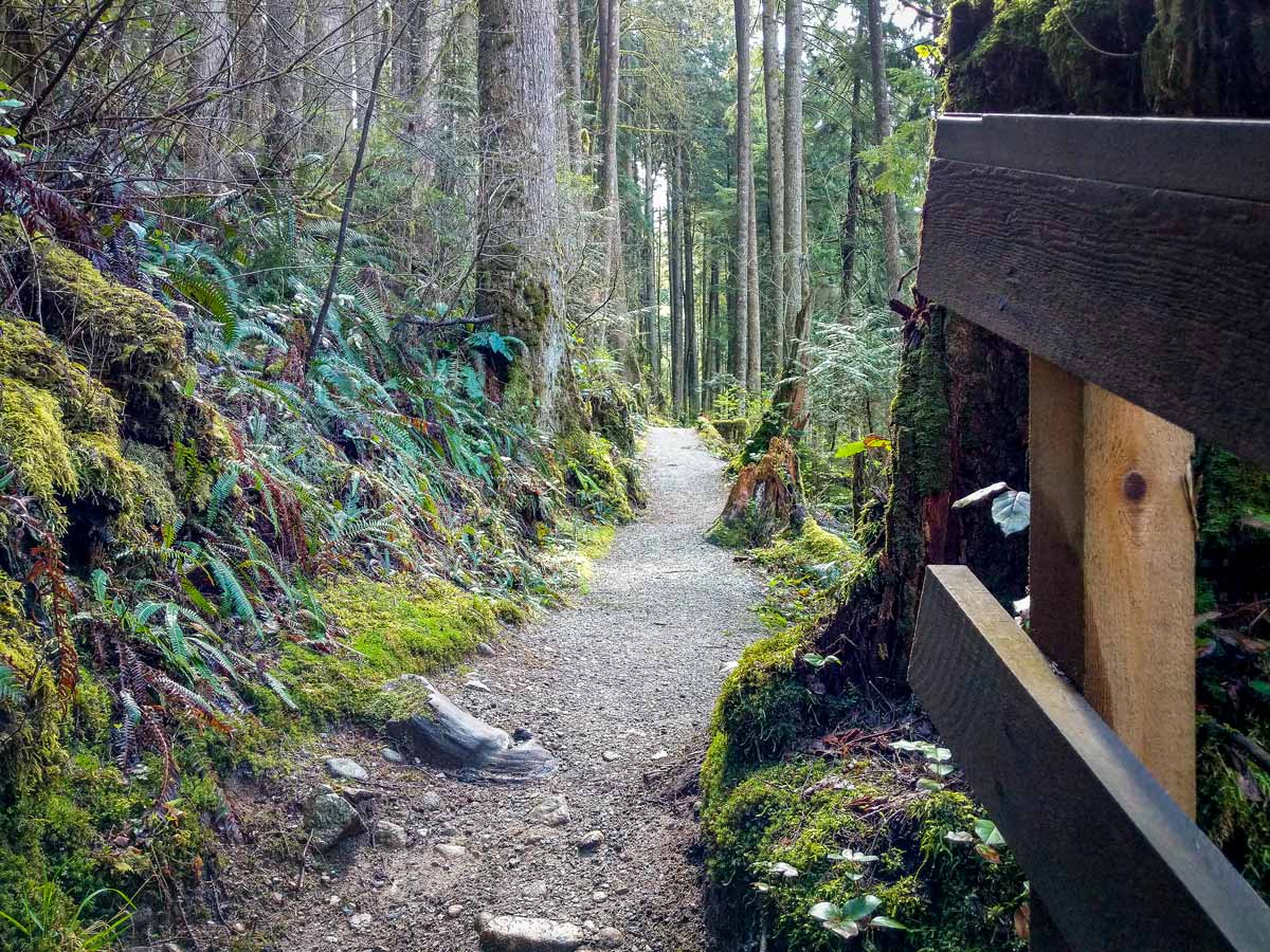 Steelhead Falls hiking trail to beautiful natural waterfalls near Vancouver BC