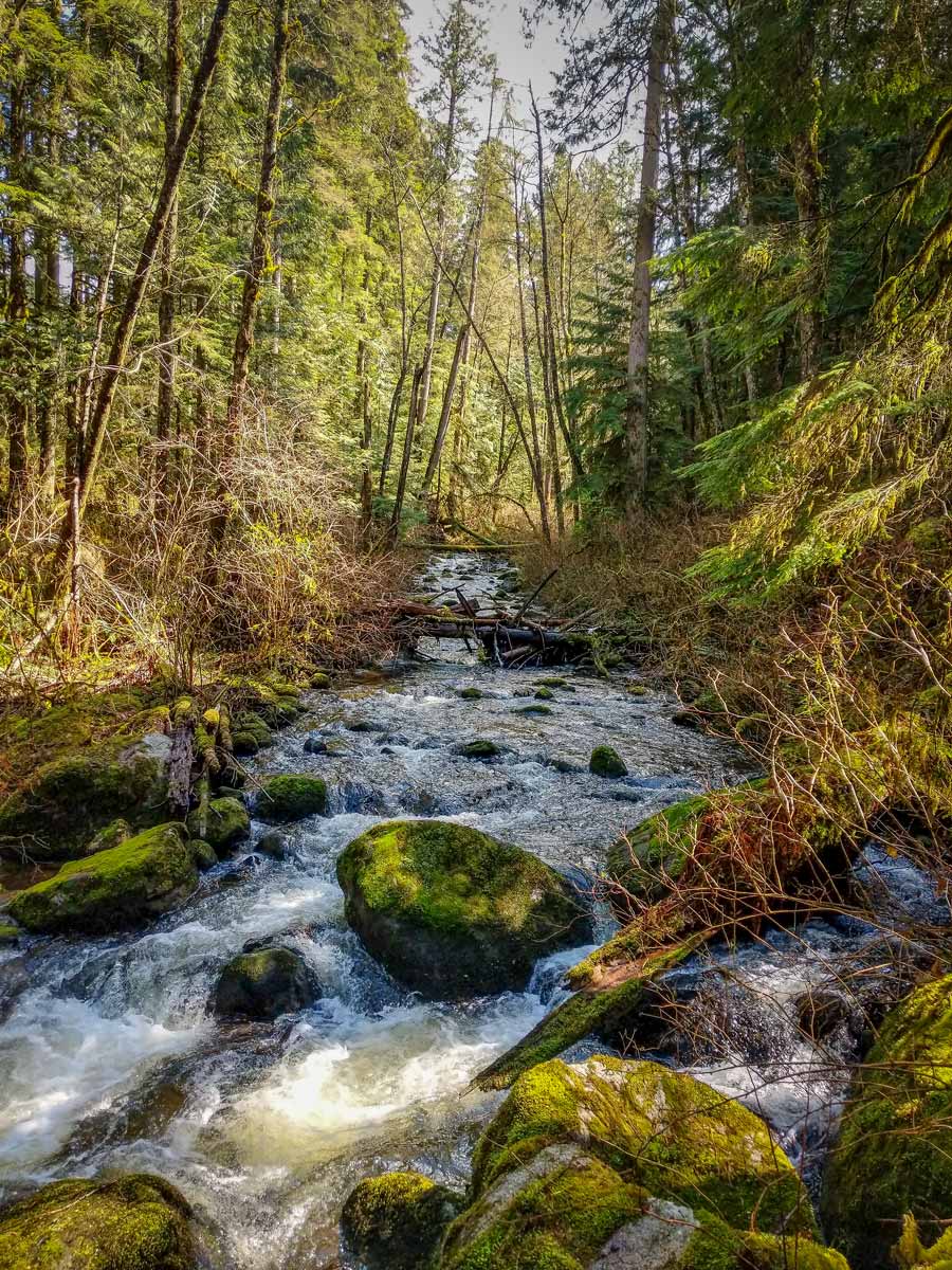 Steelhead Falls hike east of Vancouver leads to beautiful Steelhead Creek and Steelhead Falls