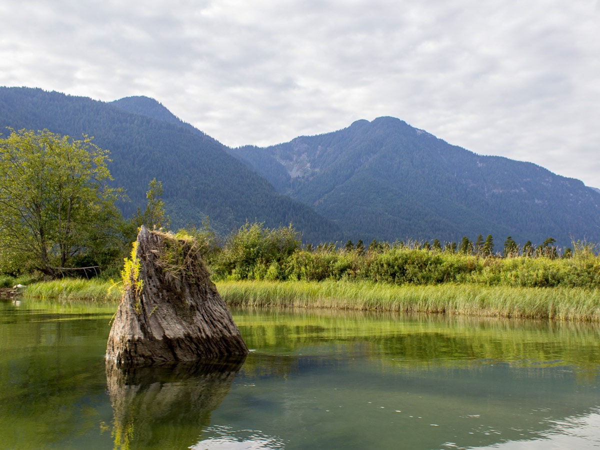 Pond alongside the hiking trail to Widgeon Falls near Vancouver BC