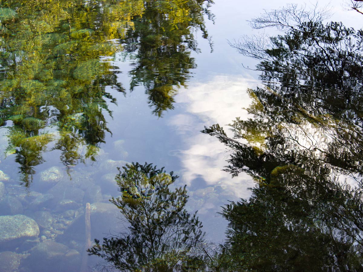 Reflections in the water while canoeing to Widgeon Falls trailhead near Vancouver