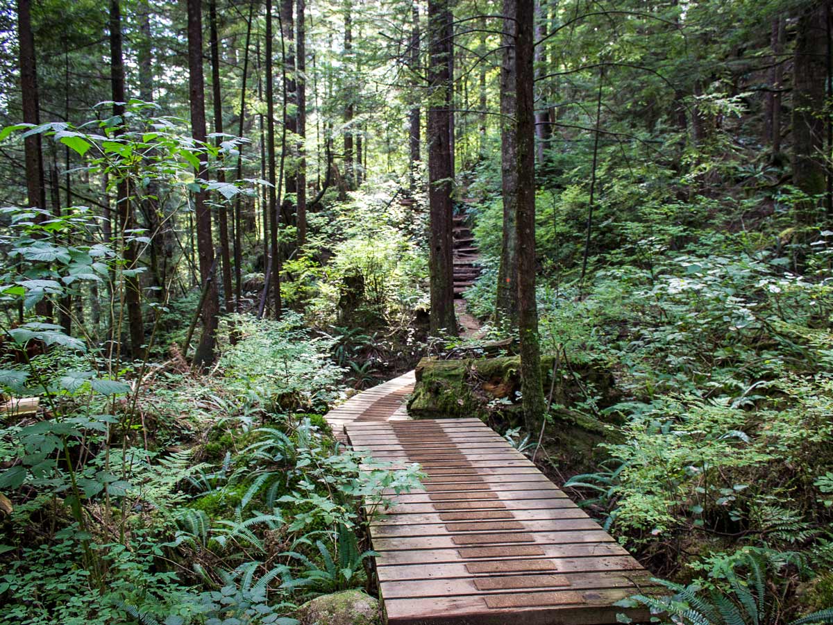 Widgeon Falls hiking trail boardwalk through the forest east of Vancouver