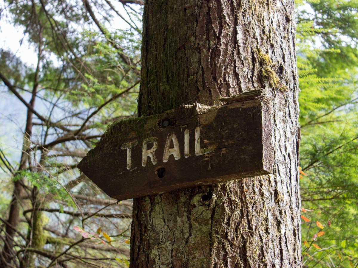 Old trail sign along Widgeon Fall hiking trail near Vancouver BC