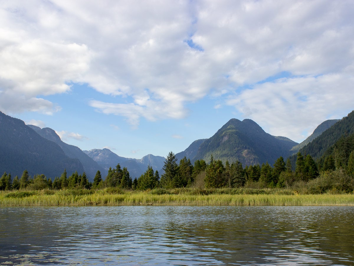 Marshlands at the trailhead for Widgeon Fall hike to natural waterfalls near Vancouver BC