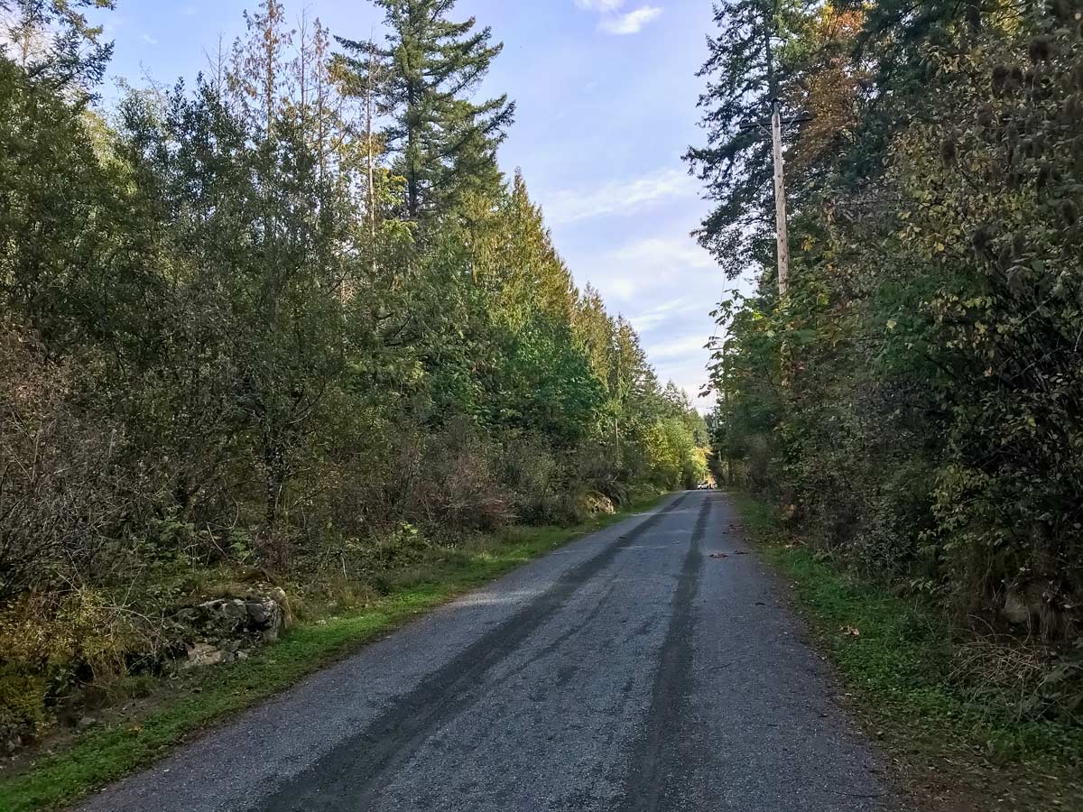Colquitz River Trail peaceful bike ride near Victoria British Columbia