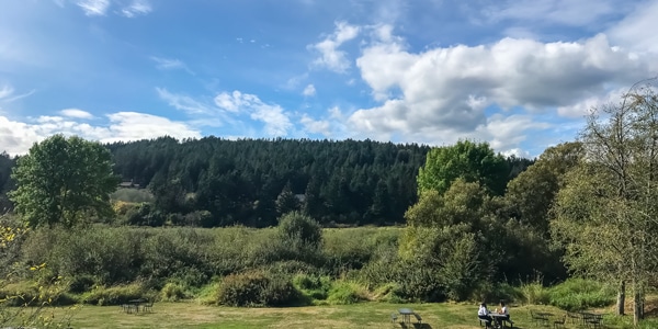 Colquitz River Trail