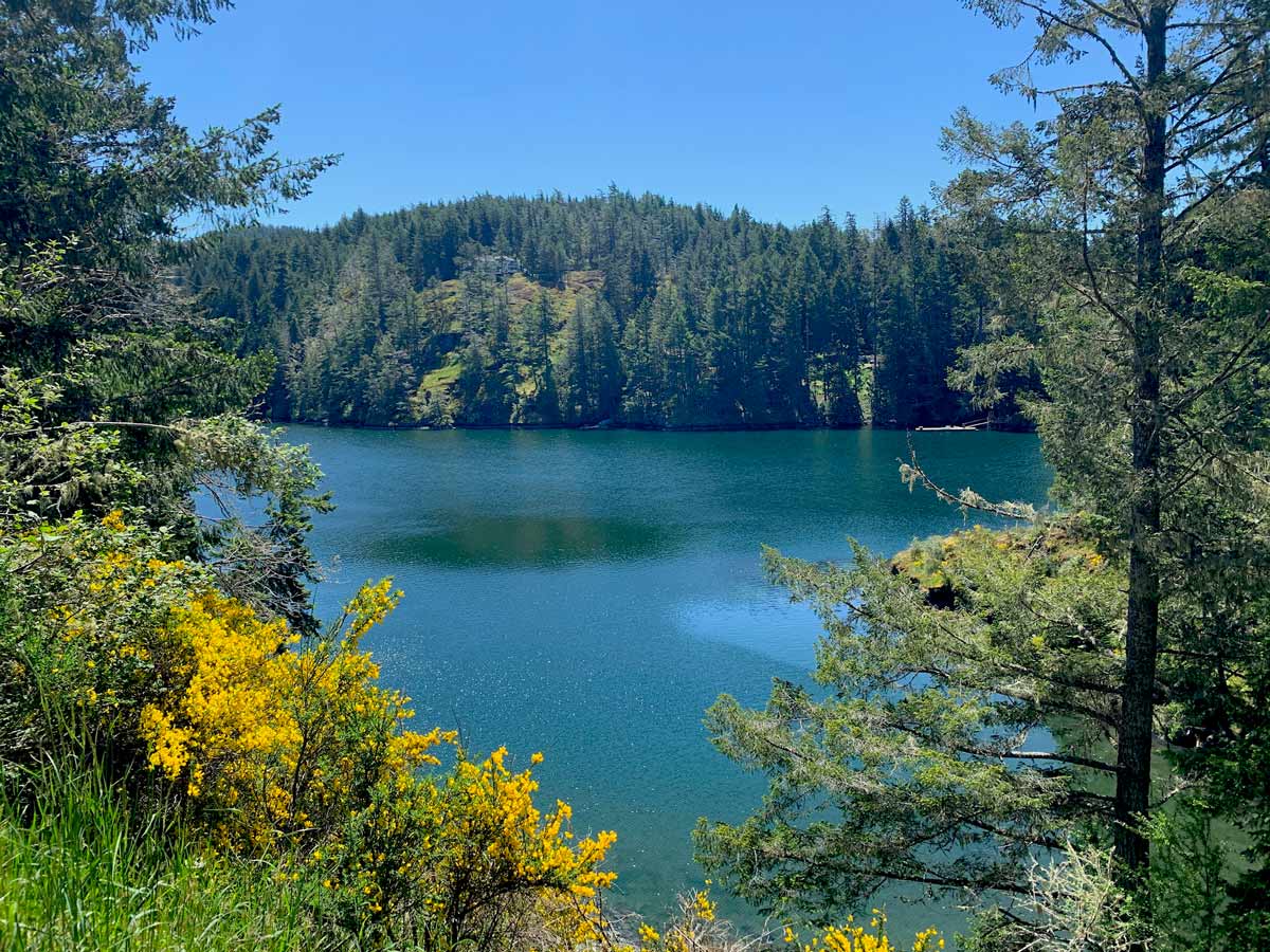 Beautiful views of the Pacific Ocean from bike trail Goose to Sooke Potholes near Victoria