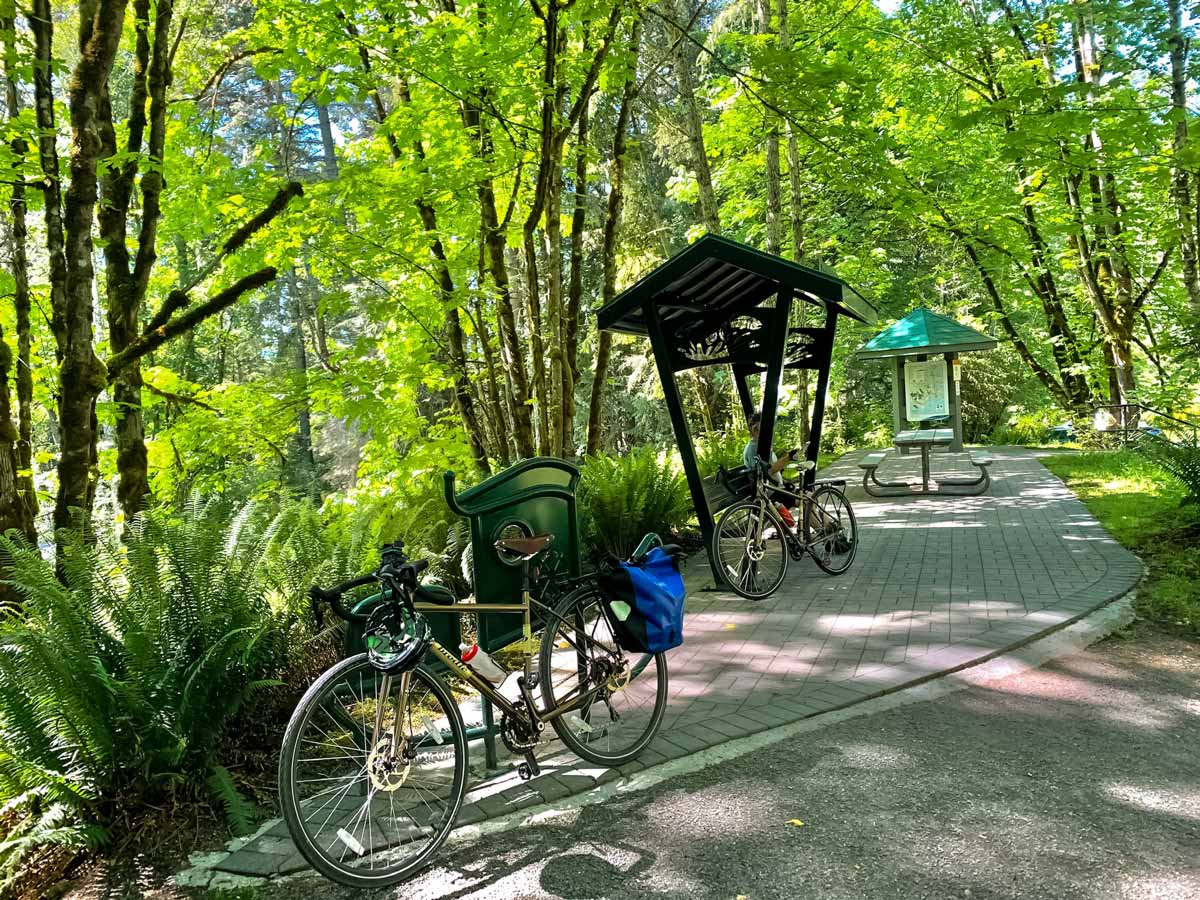 Bikes in the forest along Goose to Sooke Potholes cycling trail near Victoria