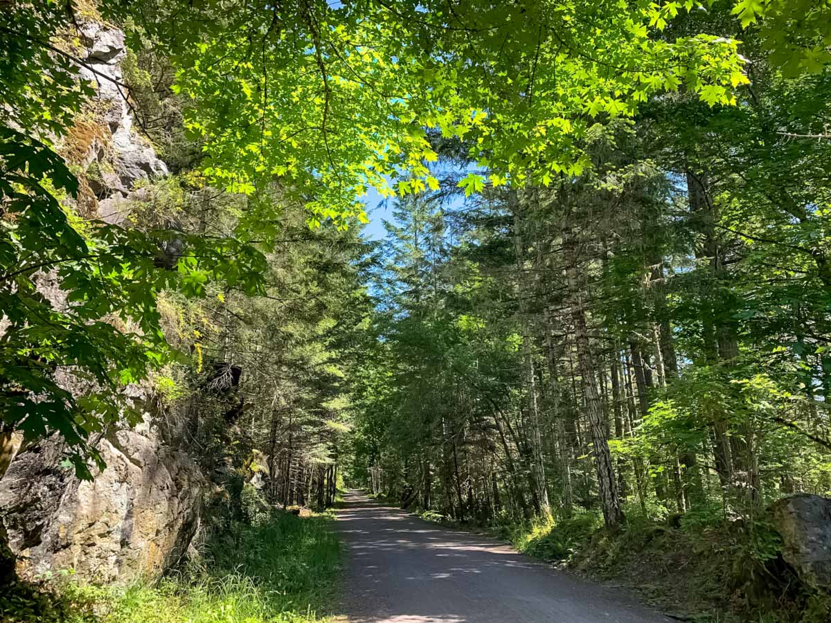 Cycling through the forest along Goose to Sooke Potholes near Victoria