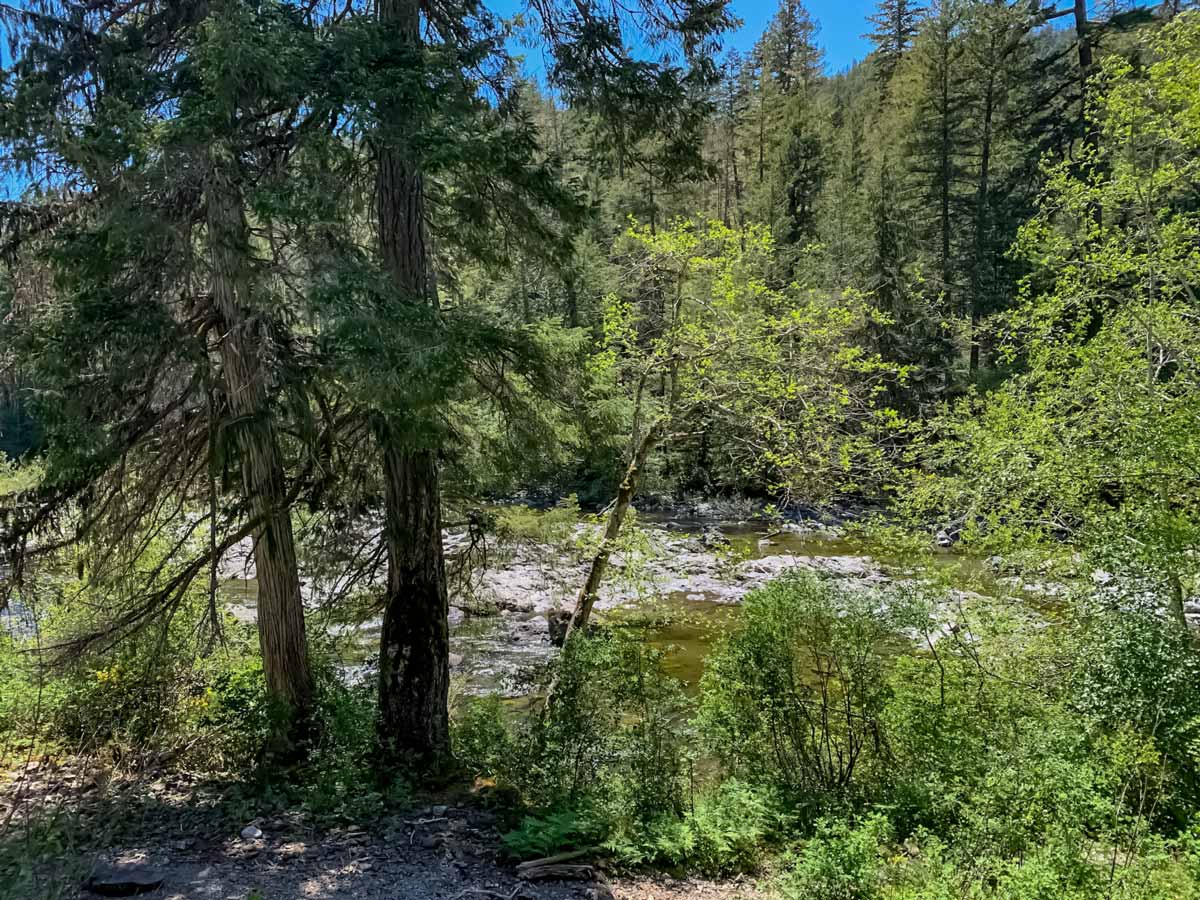 Beautiful forest and creek views along Goose to Sooke Potholes near Victoria