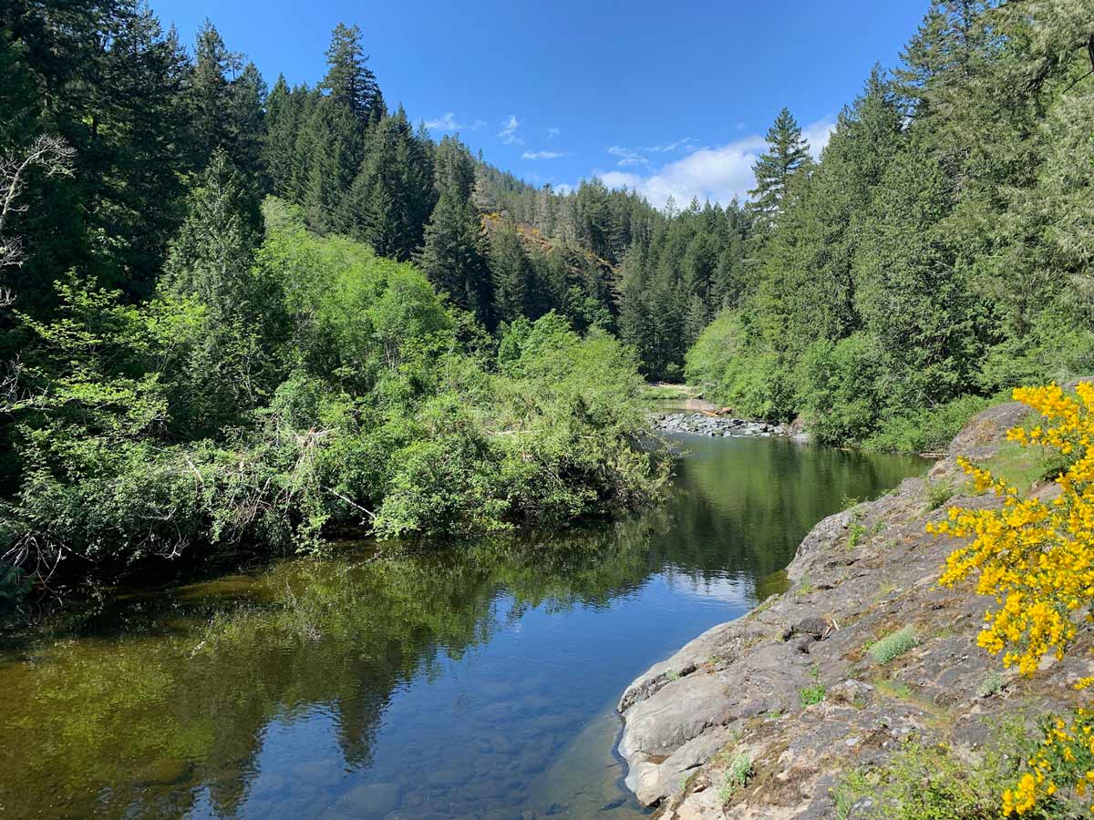 Beautiful calm creek flowing along Goose to Sooke Potholes near Victoria