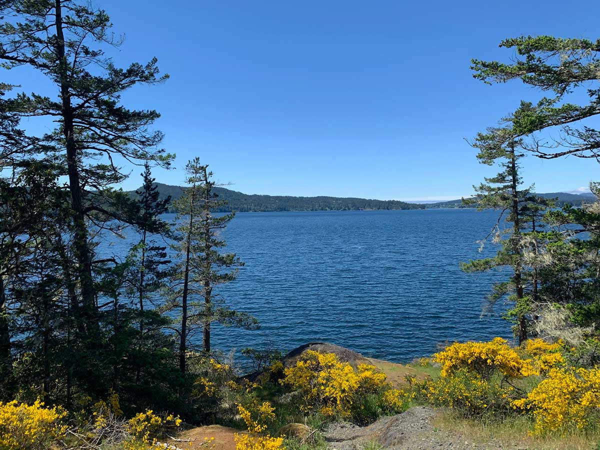 Pacific through the trees seen from trail Goose to Sooke Potholes near Victoria