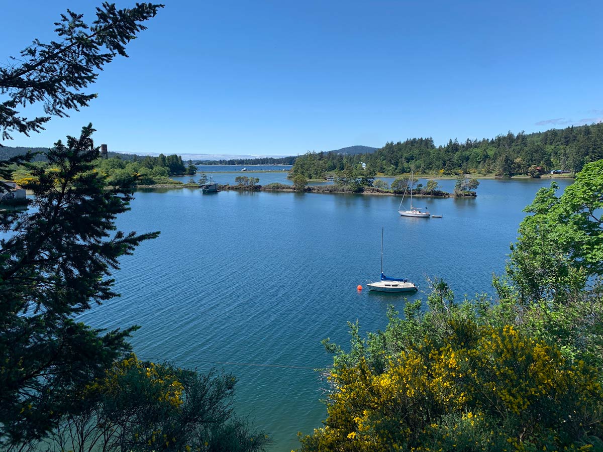 Boats in the ocean seen from Goose to Sooke Potholes bike trail near Victoria