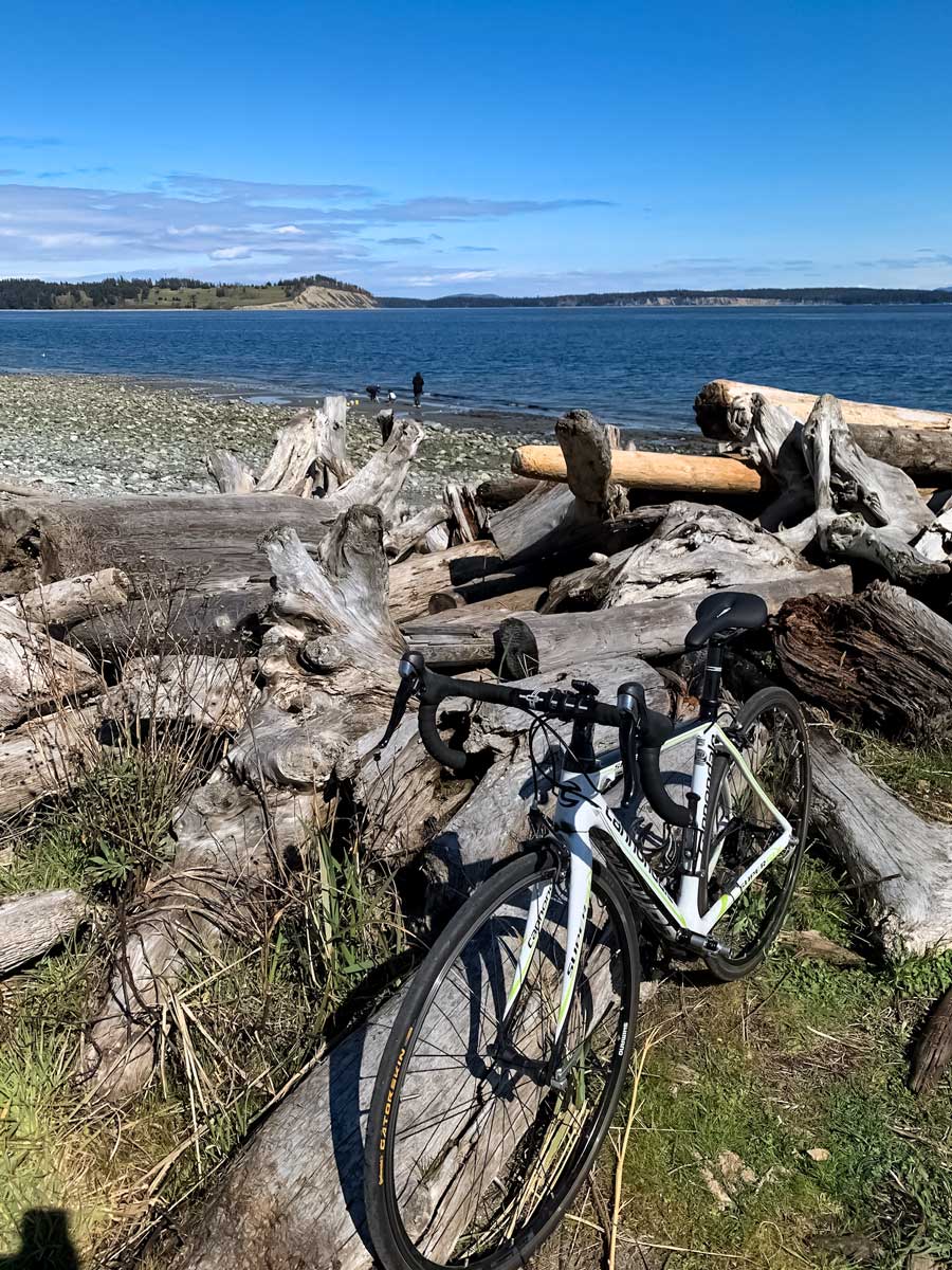 Road bike resting on driftwood along Lochside Trail near Victoria BC