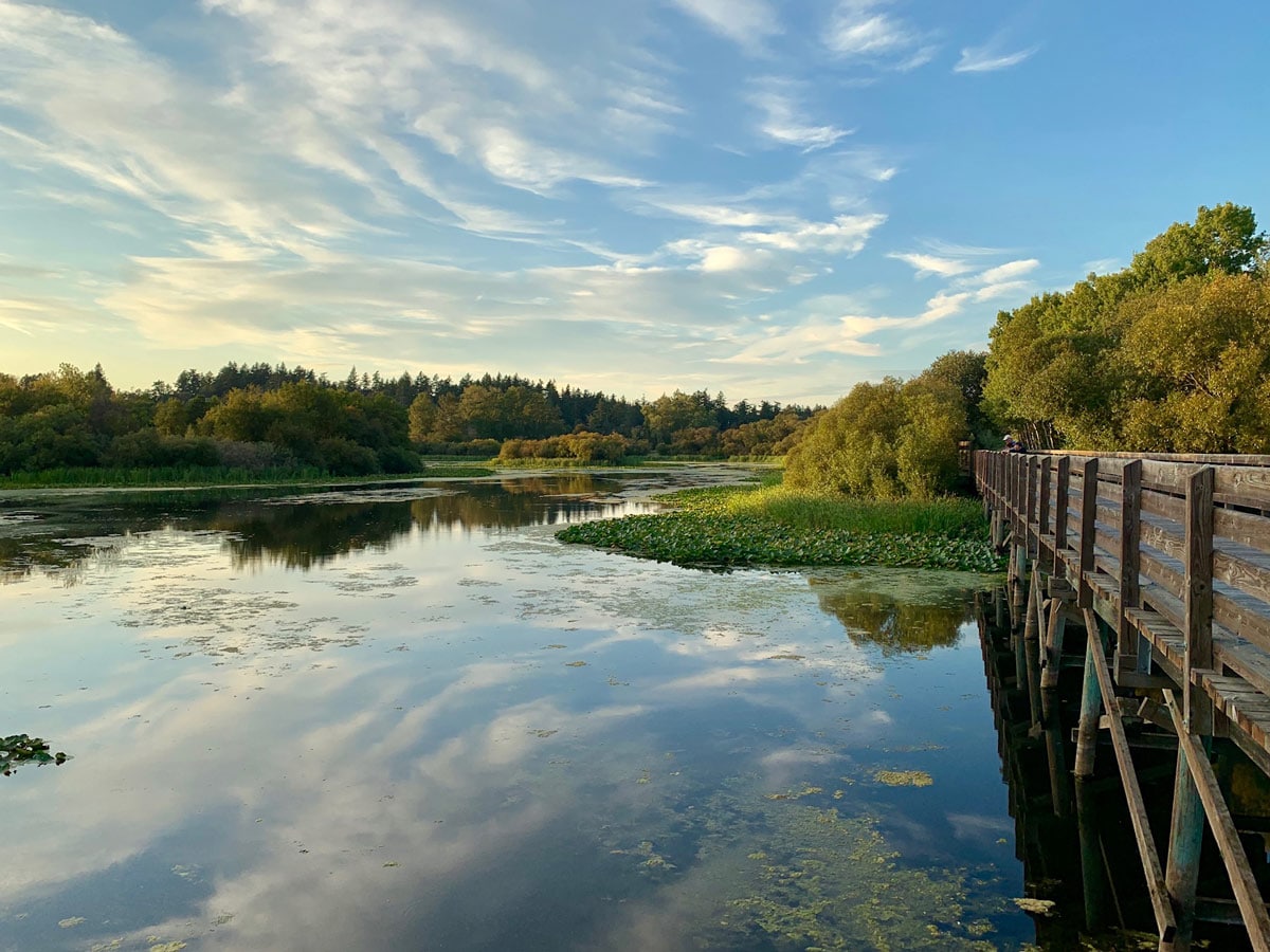 Bridge crossing pond marsh along Lochside Trail near Victoria BC