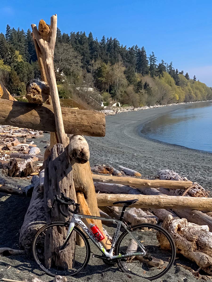 Driftwood art along Metchosin Loop bike trail near Victoria