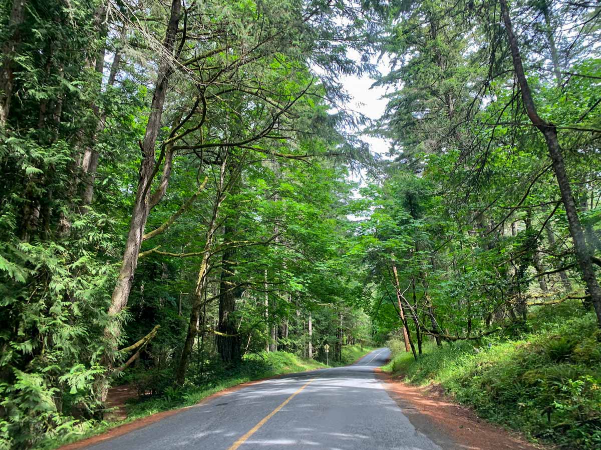 Cycling along Munns Road near Victoria BC