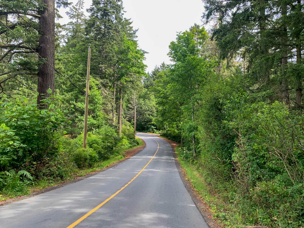 Cycling forest path Munns Road near Victoria BC