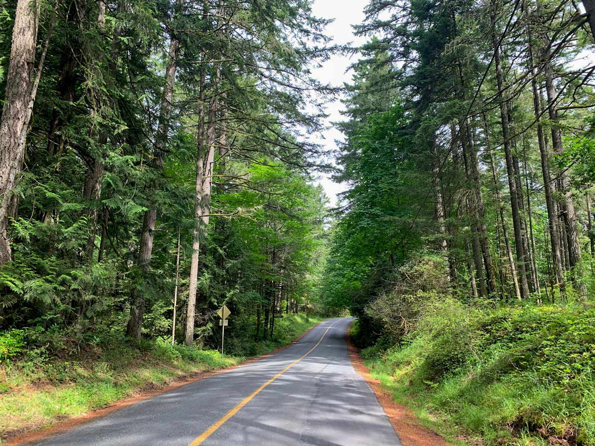 Peaceful forest cycling route along Munns Road near Victoria BC