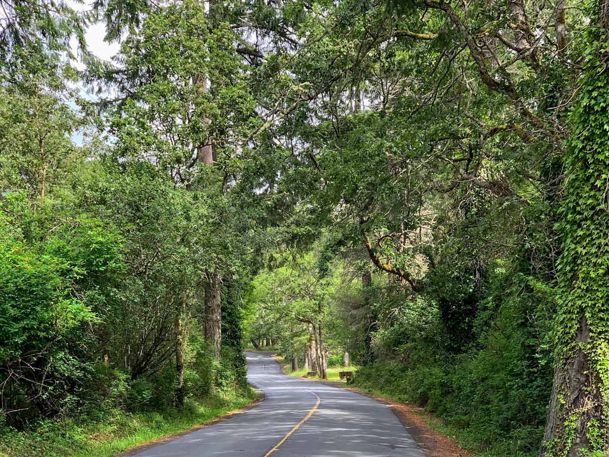Munns Road near Victoria BC is a beuatiful west coast cycling route