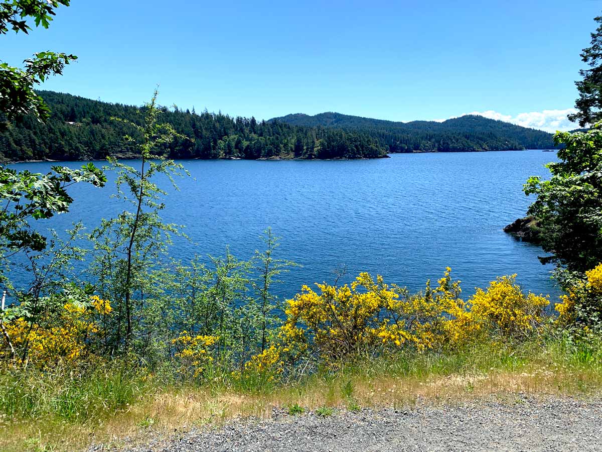 Peninsula Loop trail with beautiful views of the Pacific Ocean biking cycling near Victoria BC